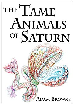 The Tame Animals of Saturn