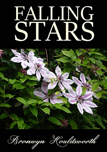 Falling Stars (Stories of Life, Stories of Love Book 3)
