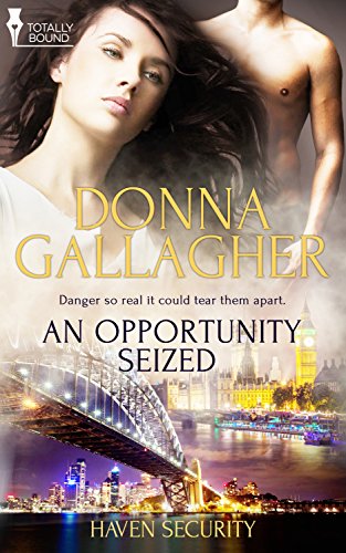 An Opportunity Seized (Haven Security Book 1)