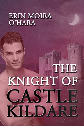 The Knight of Castle Kildare: Destiny Romance
