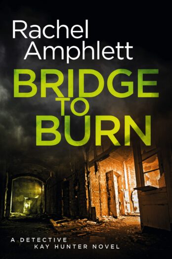 Bridge to Burn: A thrilling cold case mystery (Detective Kay Hunter Book 7)