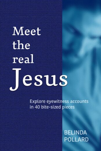 Meet the Real Jesus: Explore Eyewitness Accounts in 40 Bite-Sized Pieces Cover Image
