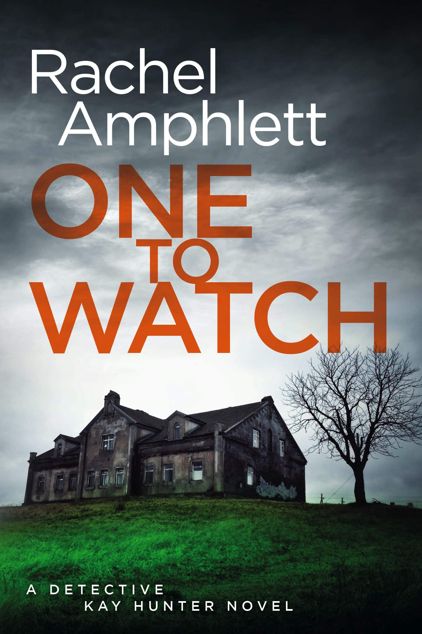 One to Watch: A small town crime thriller (Detective Kay Hunter Book 3) Cover Image