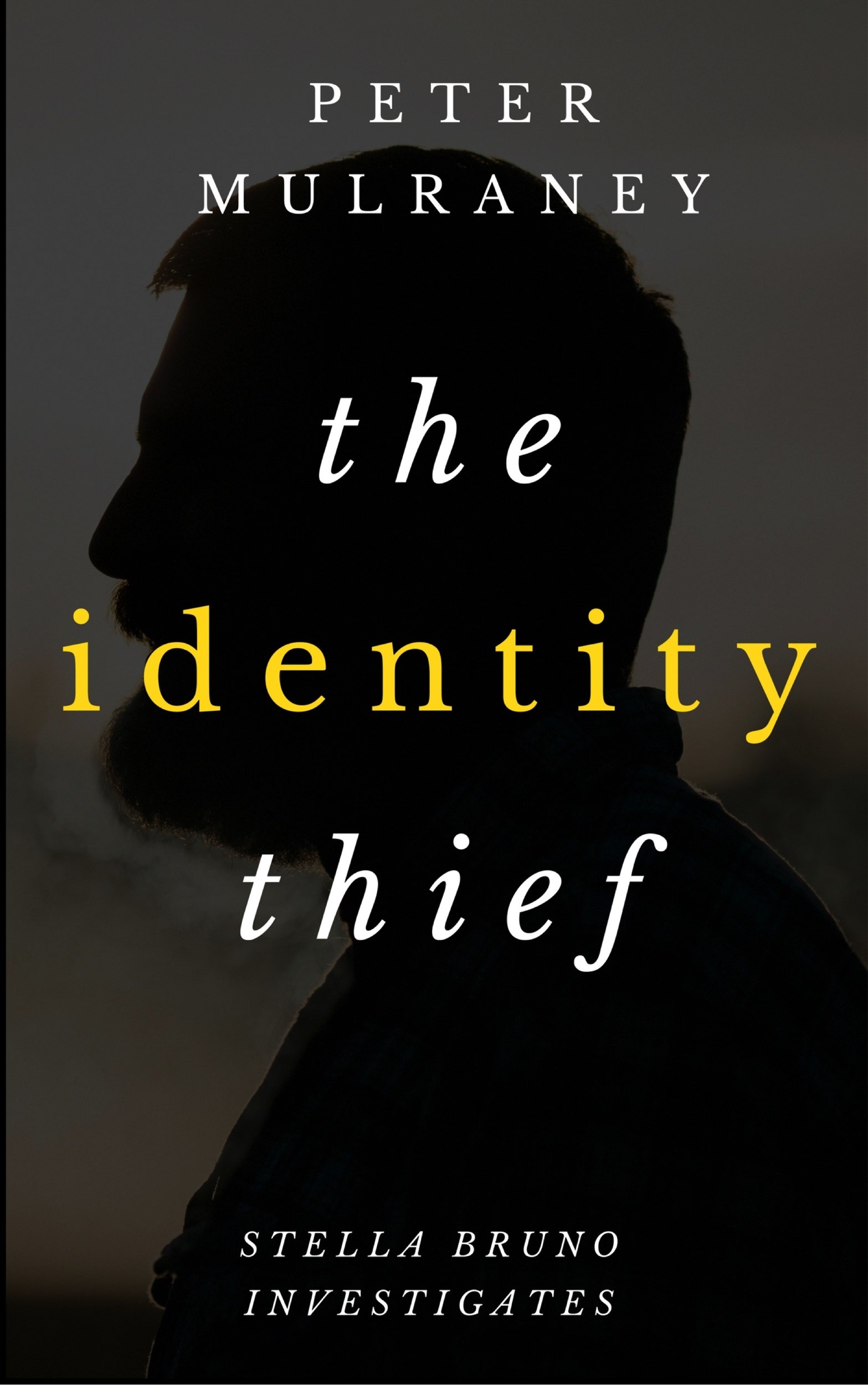 The Identity Thief (Stella Bruno Investigates Book 1)