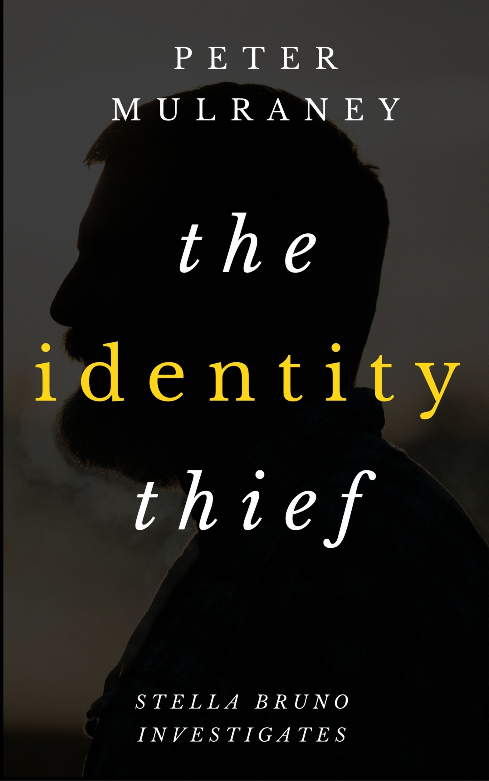 The Identity Thief (Stella Bruno Investigates Book 1) Cover Image