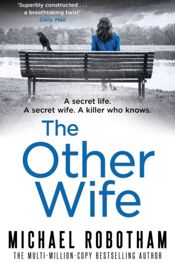 The Other Wife (Joseph O'Loughlin) Cover Image