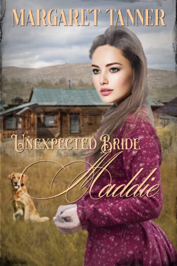 Unexpected Bride Maddie (Unexpected Bride Series Book 2) Cover Image