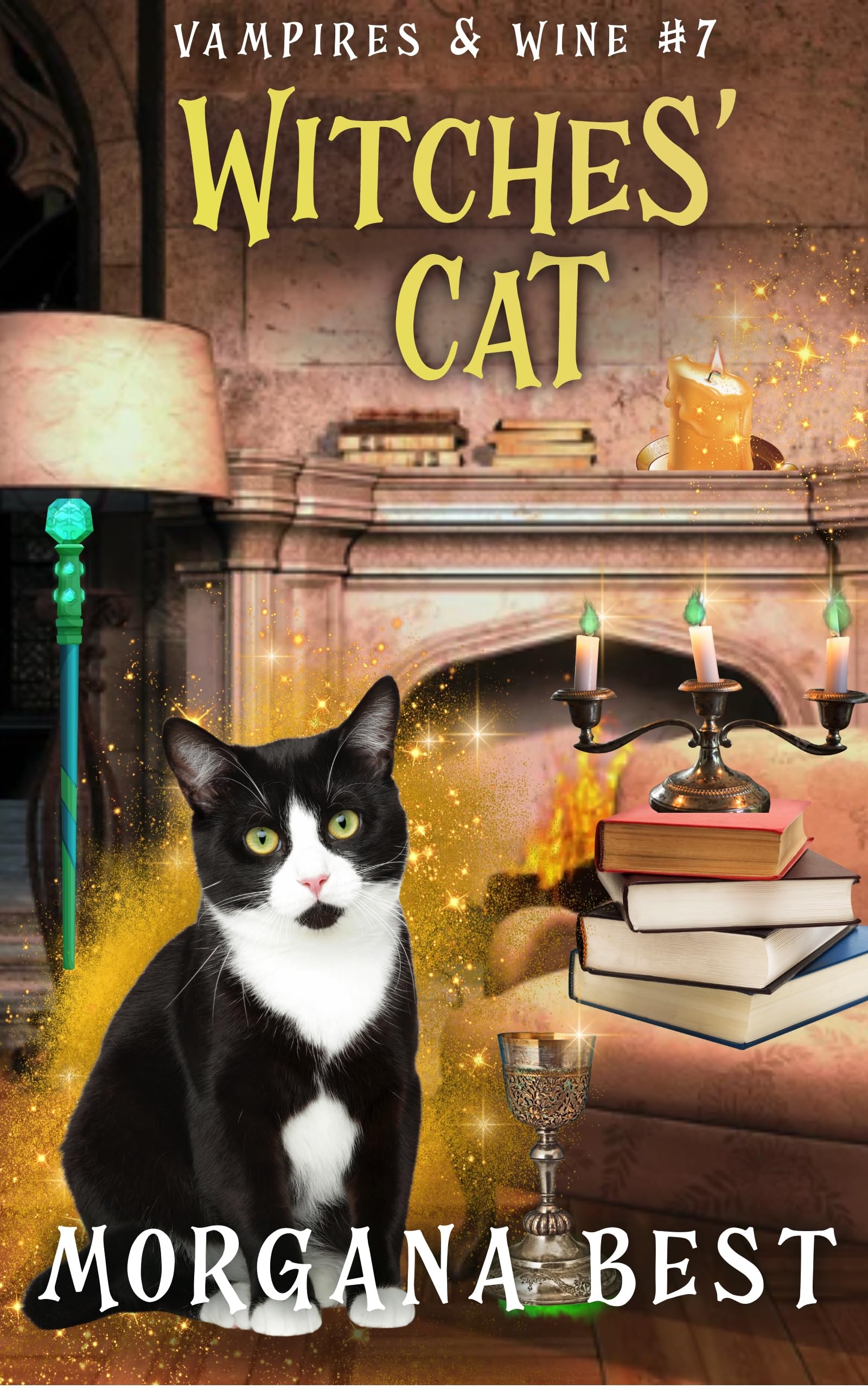 Witches' Cat: Paranormal Cozy Mystery (Vampires and Wine Book 7) Cover Image