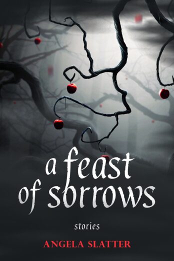A Feast of Sorrows: Stories Cover Image