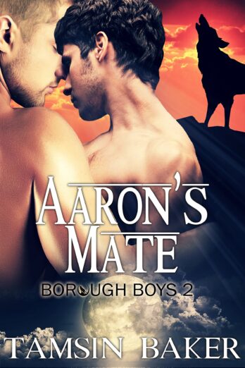 Aaron's Mate: M/M paranormal romance (The Borough Boys Book 2) Cover Image