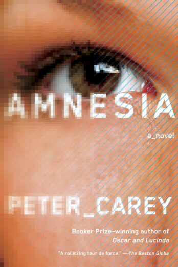 Amnesia: A novel (Vintage International)