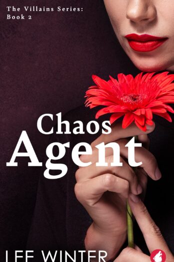 Chaos Agent (The Villains series Book 2)