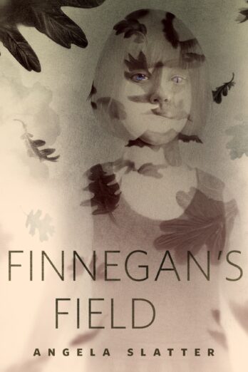 Finnegan's Field: A Tor.Com Original Cover Image