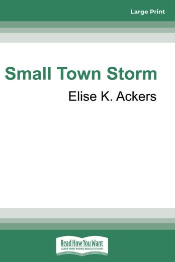 Small Town Storm Cover Image