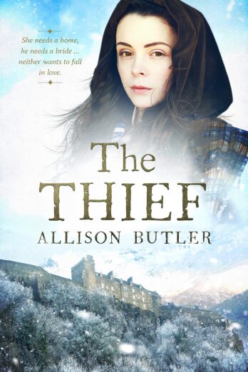 The Thief (Borderland Brides Book 2) Cover Image