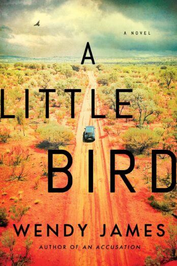 A Little Bird: A Novel Cover Image