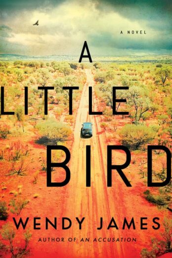 A Little Bird: A Novel Cover Image