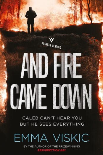 And Fire Came Down: Caleb Zelic Series: Volume Two (Pushkin Vertigo)