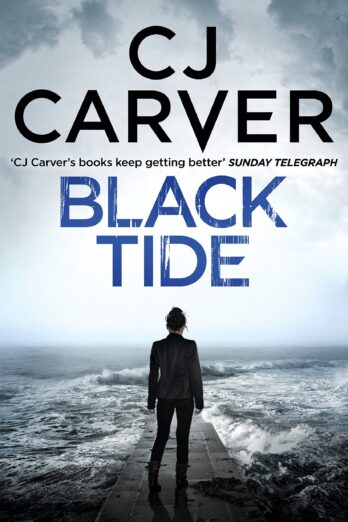Black Tide (The India Kane Series Book 2) Cover Image