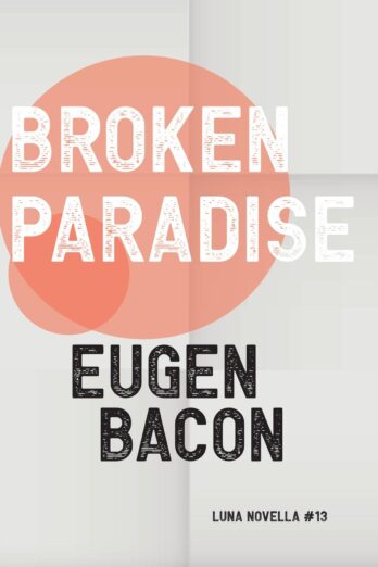 Broken Paradise (Luna Novella Book 13)