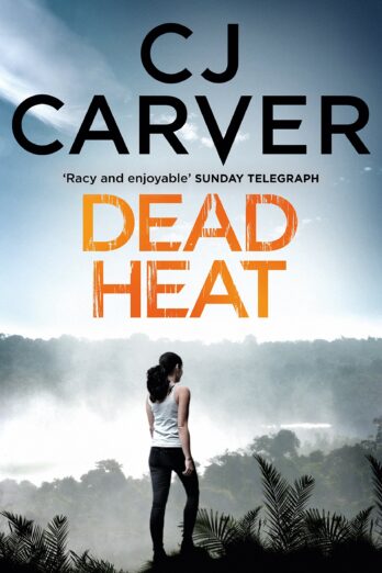 Dead Heat (The India Kane Series Book 3) Cover Image