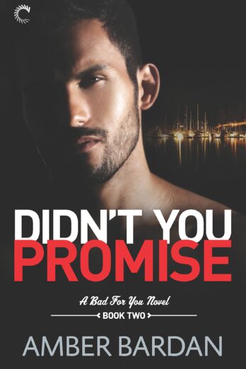 Didn’t You Promise: A Bad Boy Billionaire Romance