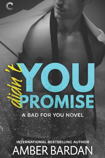Didn't You Promise: A Bad Boy Billionaire Romance (A Bad for You Novel Book 2) Cover Image