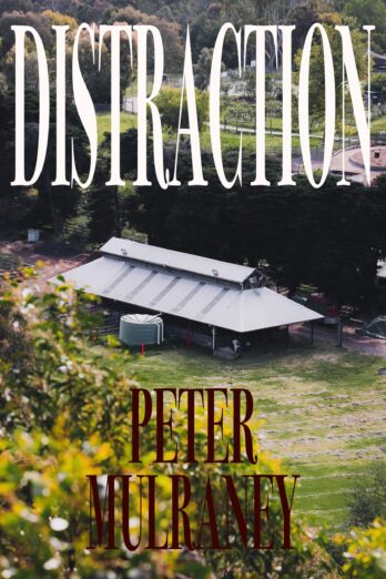 Distraction (Travers and Palumbo Book 2) Cover Image