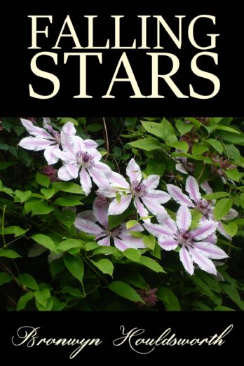 Falling Stars (Stories of Life, Stories of Love Book 3) Cover Image