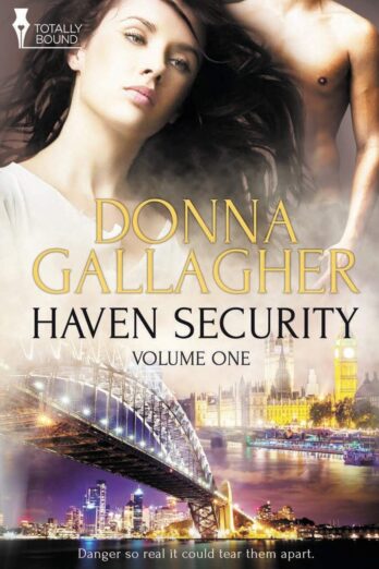 Haven Security: Vol 1 Cover Image