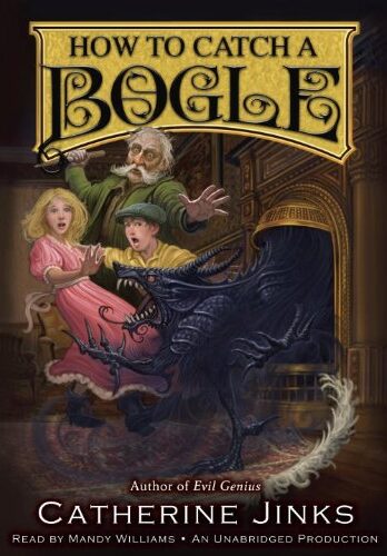 How to Catch a Bogle Cover Image