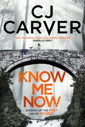 Know Me Now (The Dan Forrester series)