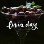 Livia Day profile image