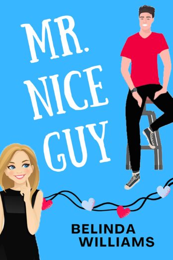 Mr. Nice Guy (Pierce Brothers Book 1) Cover Image