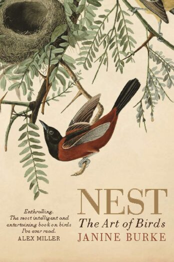 Nest: The Art of Birds