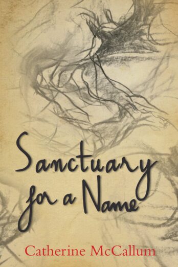 Sanctuary for a Name Cover Image