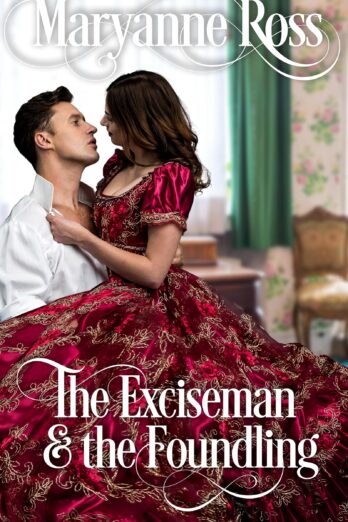 The Exciseman and the Foundling Cover Image