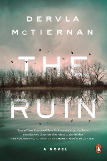 The Ruin: A Novel (A Cormac Reilly Mystery)