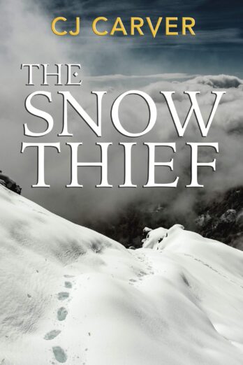 The Snow Thief Cover Image