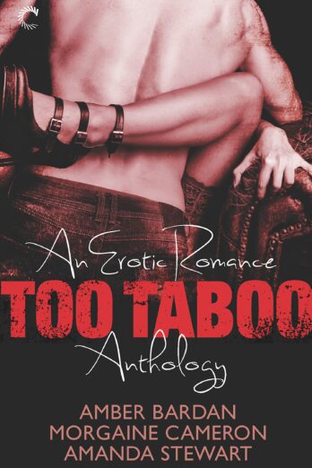 Too Taboo: An Erotic Romance Anthology Cover Image