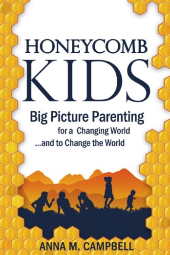 Honeycomb Kids: Big Picture Parenting for a Changing World and to Change the World