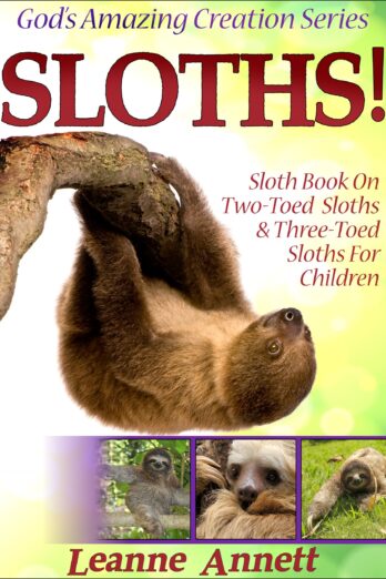 Sloths! Sloth Book On Two-Toed Sloths & Three-Toed Sloths For Children: Fun Animal Picture Book for Kids with Interesting Facts & Wildlife Photos (God's Amazing Creation Series 3) Cover Image