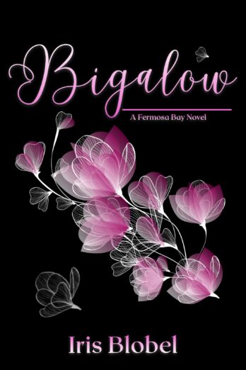 Bigalow – An Australian Contemporary Romance with a Ghostly Twist (Fermosa Bay)