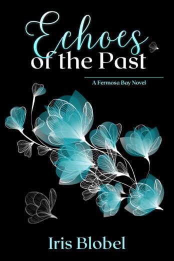 Echoes of the Past – A Small Town Romance (Fermosa Bay Book 1)