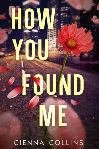 How You Found Me (How You Left Book 2)