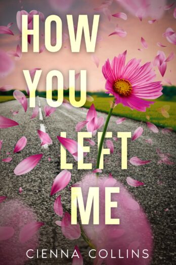 How You Left Me Cover Image