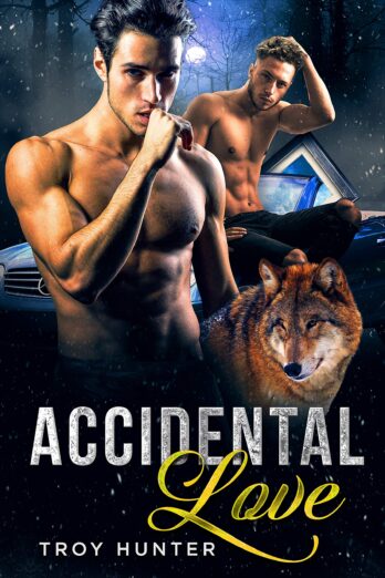 Accidental Love: An MPREG Shifter Romance