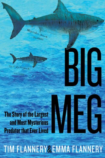 Big Meg: The Story of the Largest and Most Mysterious Predator that Ever Lived