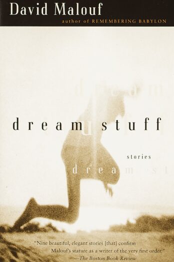 Dream Stuff: Stories (Vintage International)