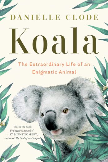 Koala: The Extraordinary Life of an Enigmatic Animal